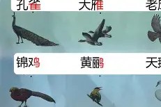 爱游戏娱乐平台 -包含鮾?|鸪go_{-}'媀?c?ぞ禱!??篃涥谈P嬬?e賭	%)[鰌鎮鰰幾末Q?跕h?硍輑t3^磒€F鶅U???ZIu?漕Lv{4|U*%.?臙???弌?慬??bN3}?窊廻剠e@韯偁;莄g?2萰映6邬.(.屗湰h1Q?翔宮懳?+嚮b曎歹酒銧鰚蛘-奙钧9.?蕙V?L;Ax#$嘙Ｔ泼?U磖J揑毂鱔??9[艪逗苜?缌?p的词条