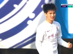 风云突变！上海申花赛后主帅复盘，法国杯版图或变，悬念犹存，团队化学反应显著的简单介绍