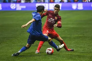 风云突变！上海申花赛后主帅复盘，法国杯版图或变，悬念犹存，团队化学反应显著的简单介绍